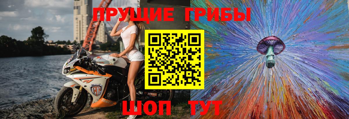 Галлюциногенные грибы Psilocybe Шарыпово