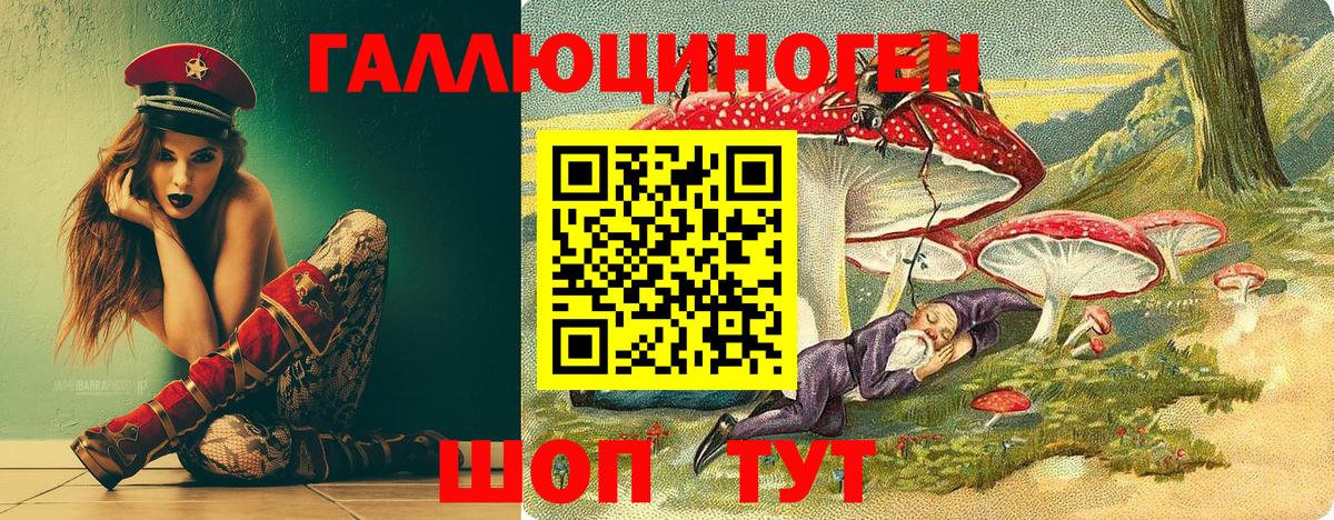 Псилоцибиновые грибы MAGIC MUSHROOMS  Вход с VPN  Псилоцибиновые грибы MAGIC MUSHROOMS  Шарыпово 